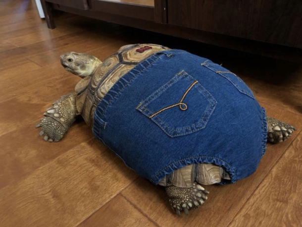 Meet Badunkadunk
