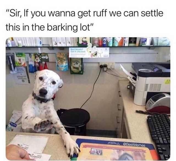 Meet me outside