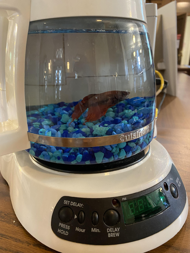 Meet Mr Coffee