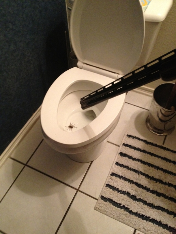 Mehbetter than burning the house down-
