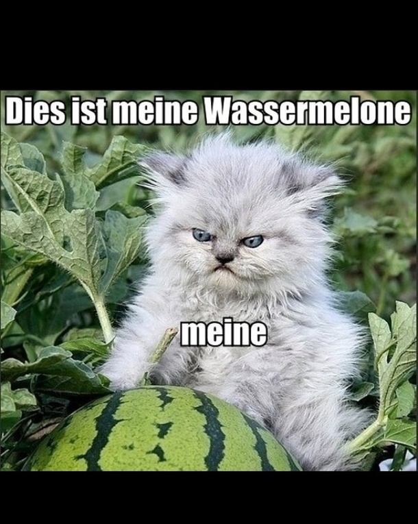 Meine Wassermelone