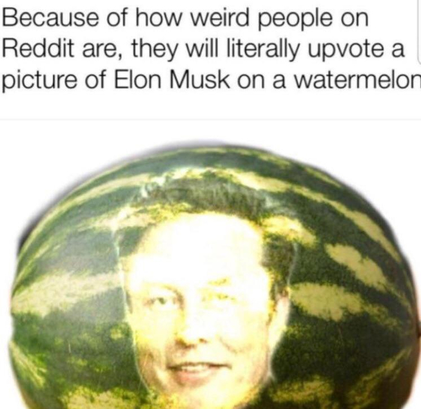 Melon Musk