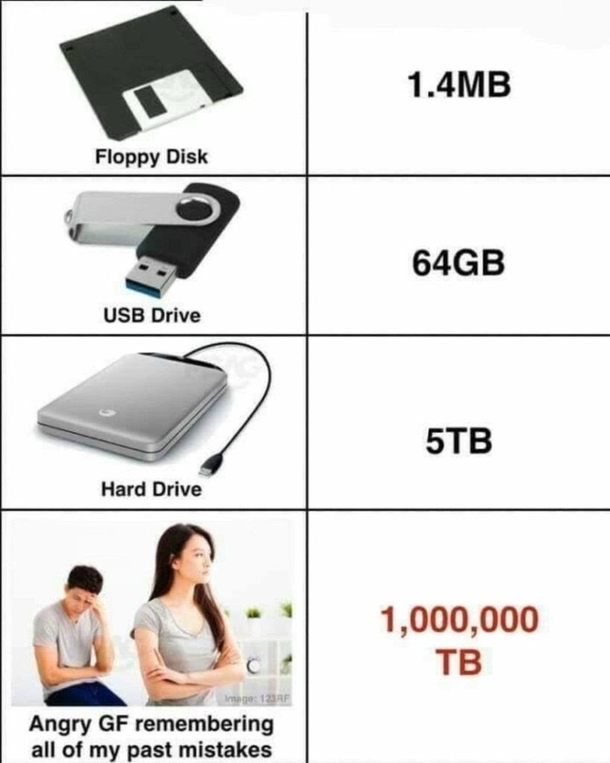 Memory Capacity