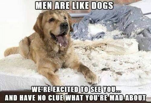 Men Are Like Dogs