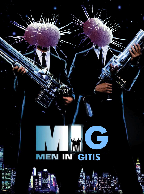 Men in gitis