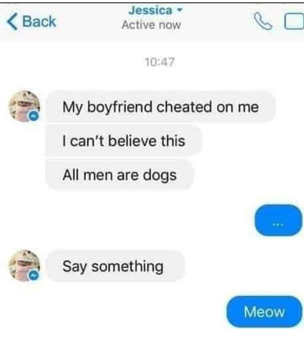Meow 