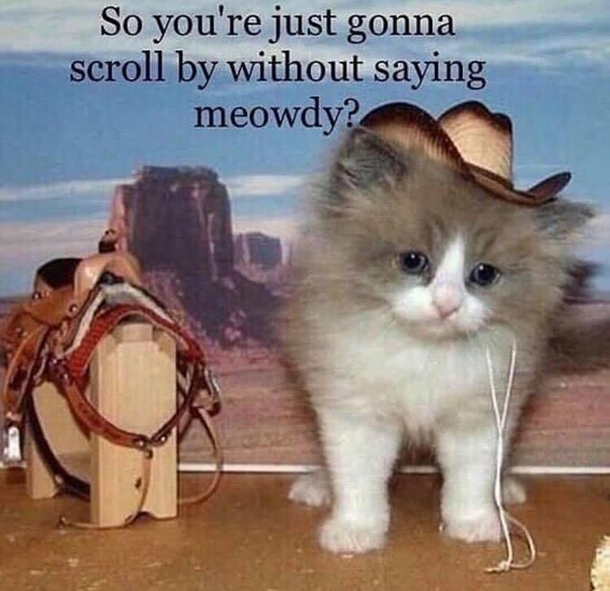 Meowdy pardner