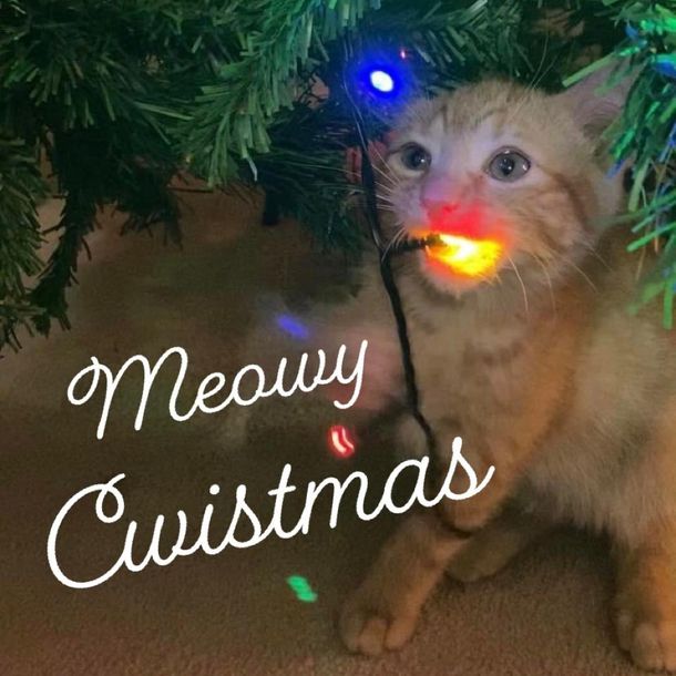 Meowy Cwistmas