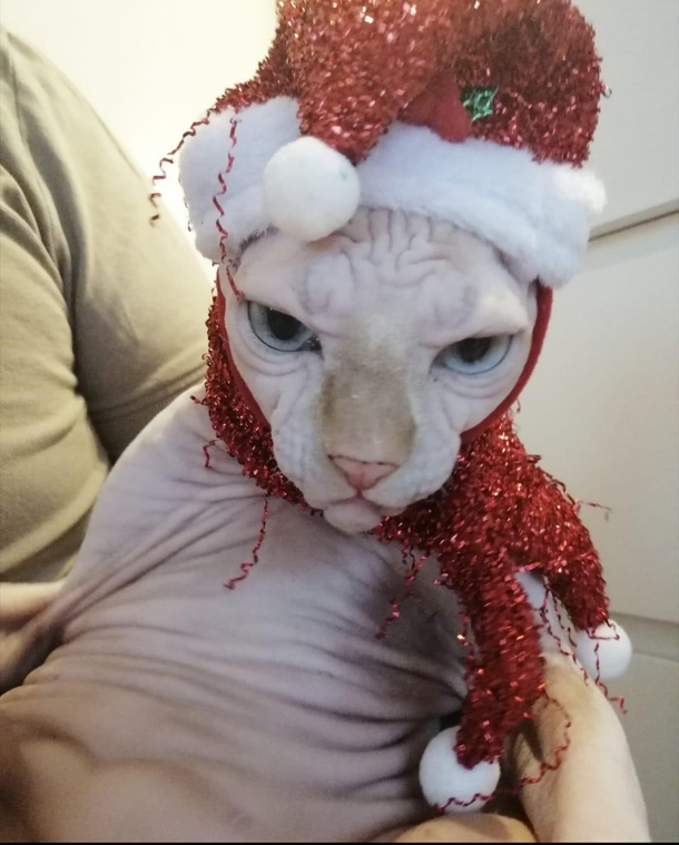Merry Christmas