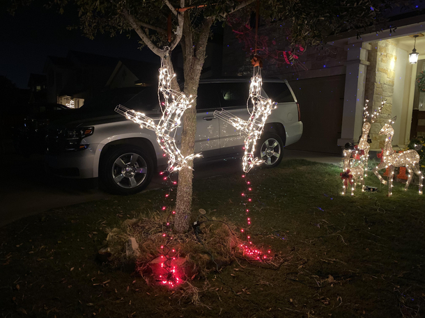 Merry Christmas from my neighbors down the street