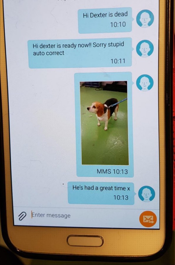 Message from the dog groomer