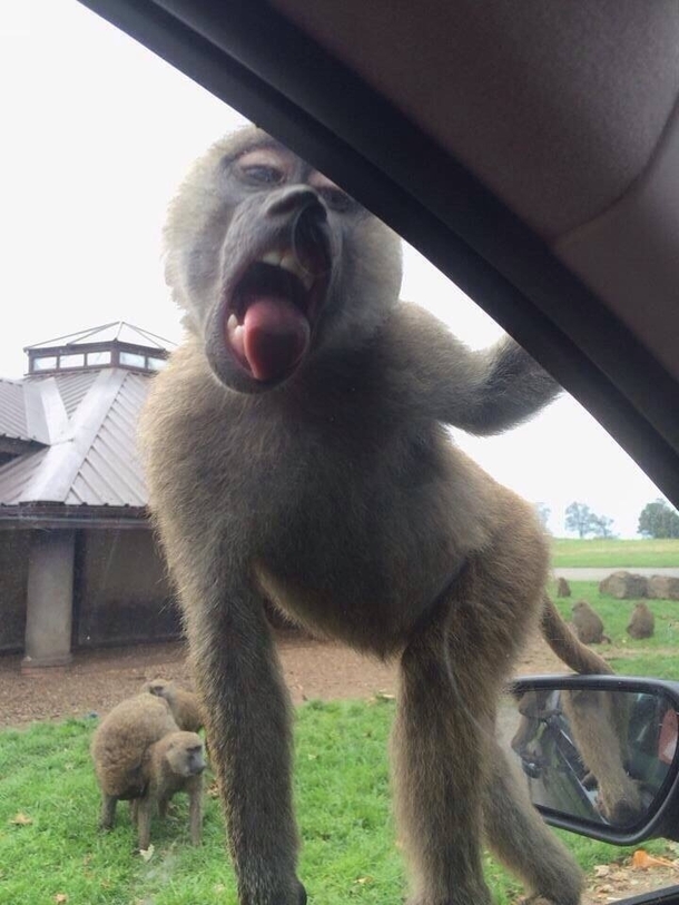 Met miley Cyrus today