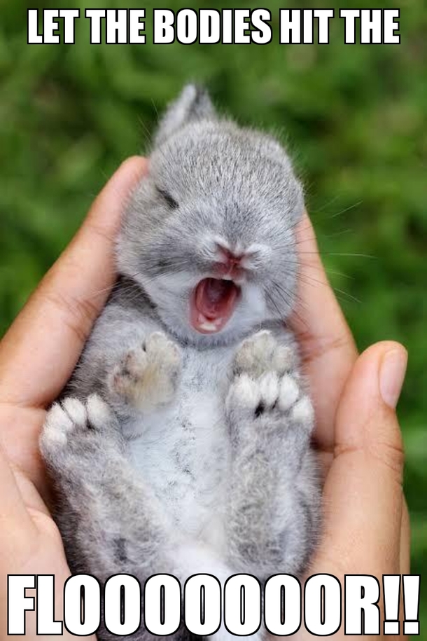 Metal Bunny