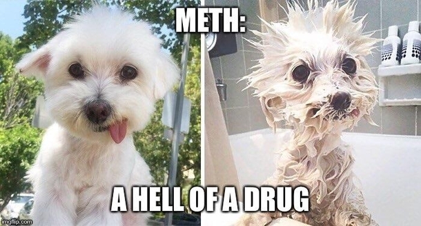 Meth is Bad