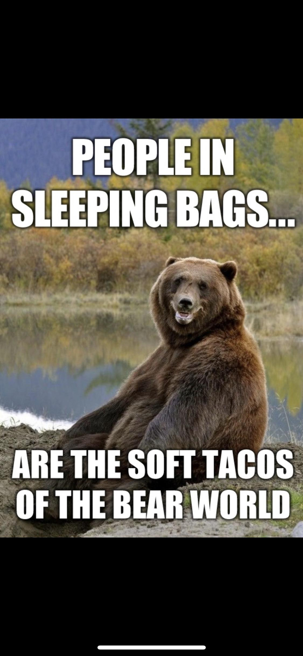 Mexican bears