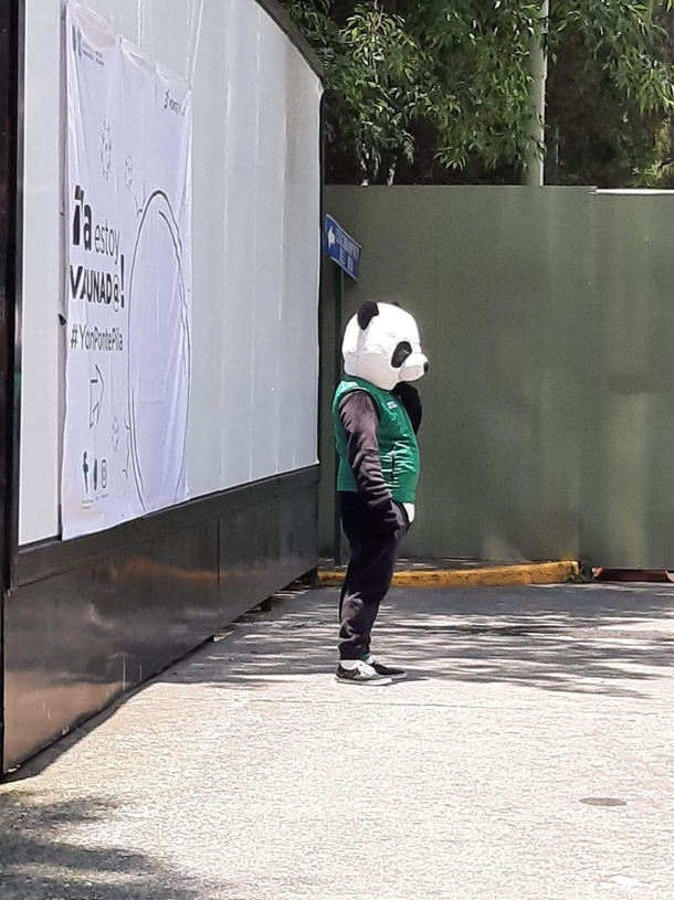 Mexico has a vaccination mascot and its called Pandemio