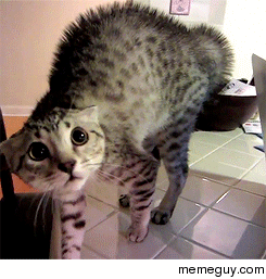 MFW as a kid got caught by my parents sneaking out of the house
