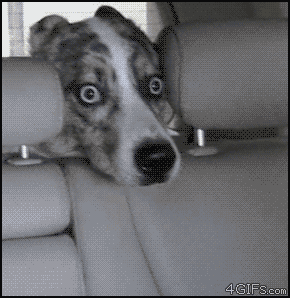 MFW I am with a couple who are fighting
