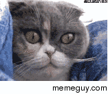 MFW I beat Bioshock Infinite