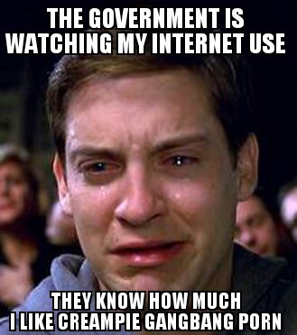MFW I read about the governments internet spying program