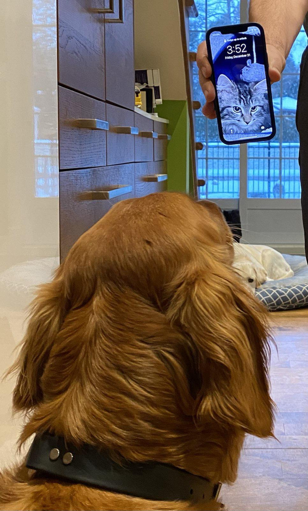 Mia discovers Moms new Lock Screenbetrayal