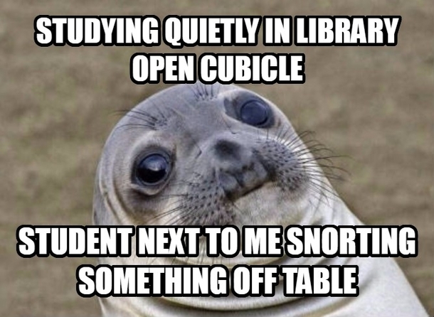 Midterm timeNext time Im getting an individual cubicle to study in though
