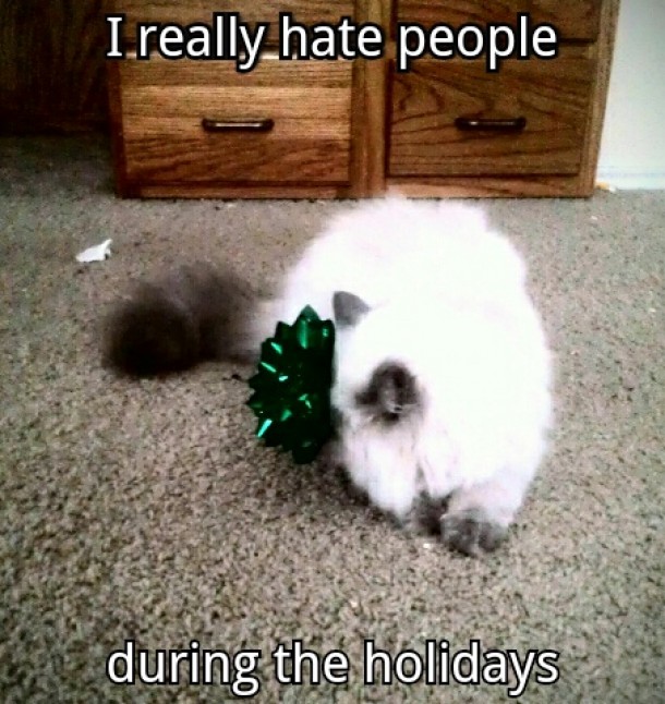 Might be why cats hate me so much