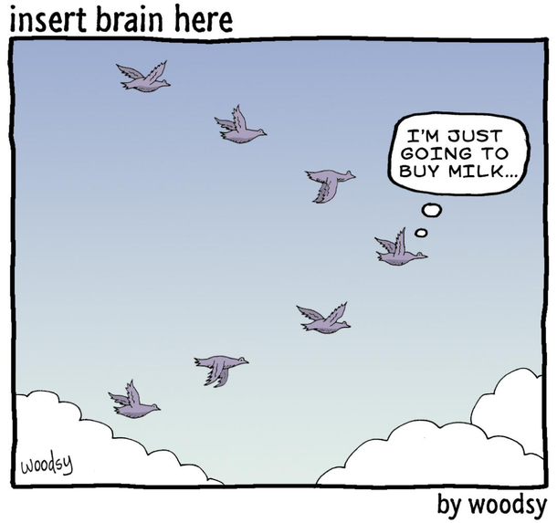 Migrating birds OC