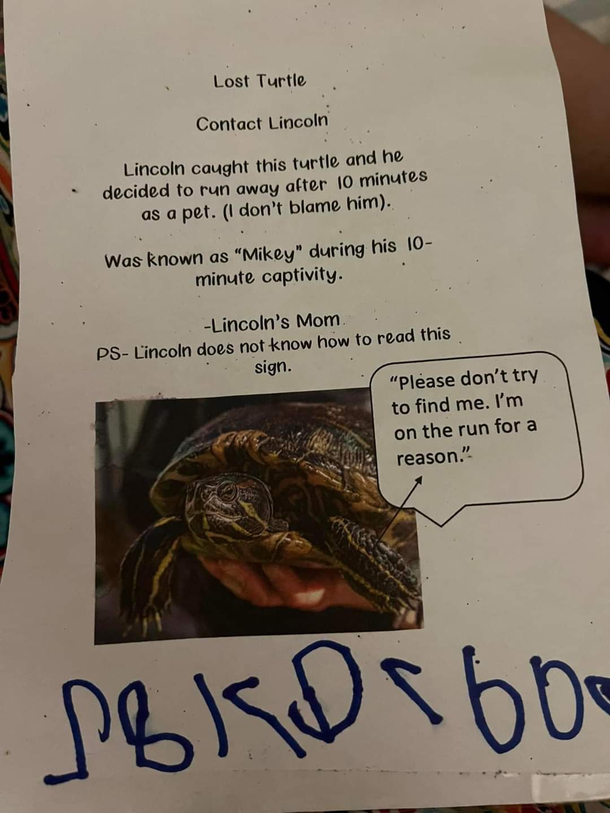 Mikey the ten-minute turtle was never meant to be held
