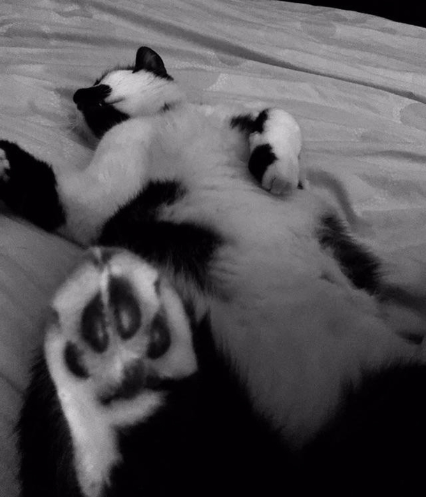 Milton recovering from a night of New Years bashes