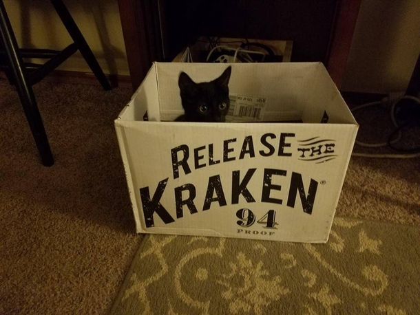 Mind the Kraken
