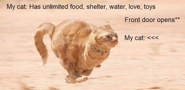 Mine too 