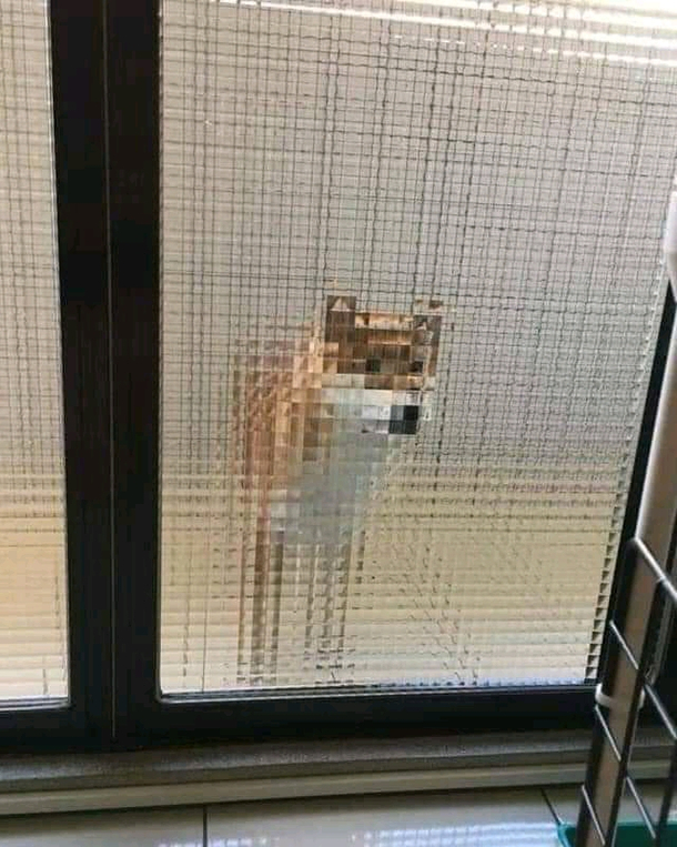 Minecraft irl