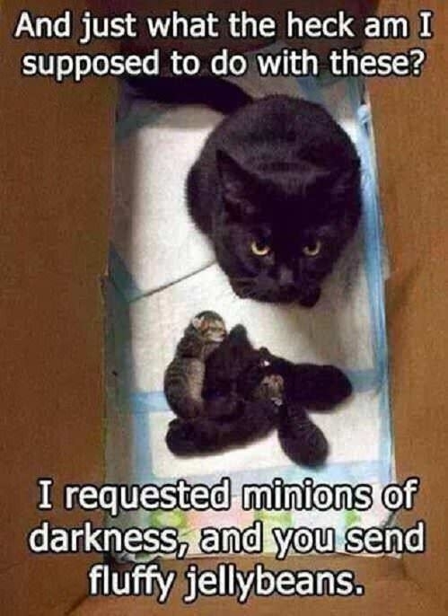 Minions of Darkness