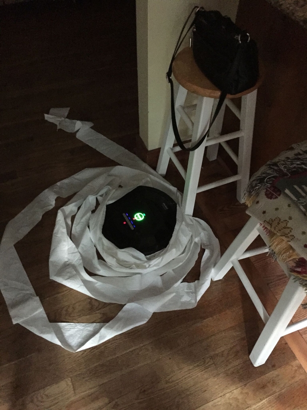 Mischievous Roomba this morning