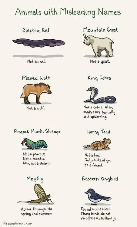 Misleading Names are misleading