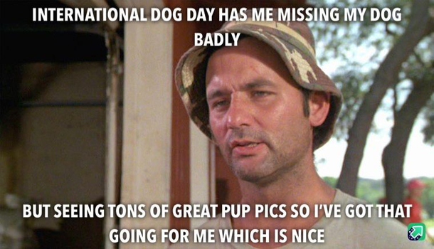 Miss my dog