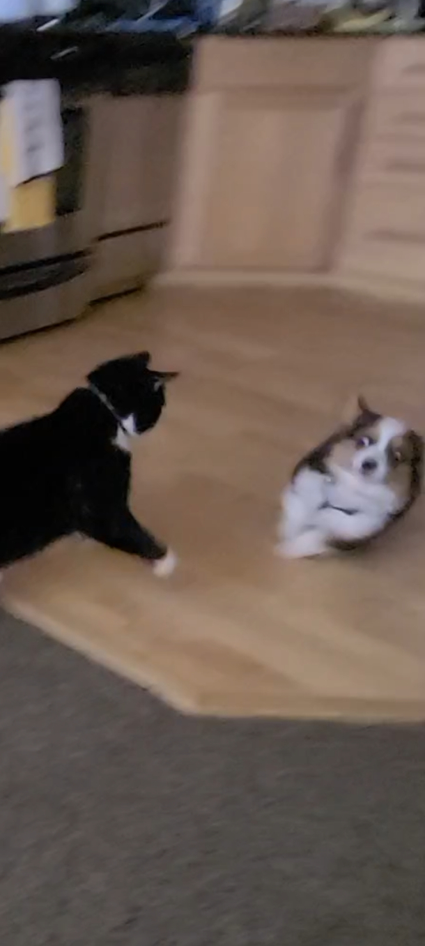 Mistakes were made