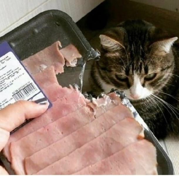 Mistakes were made