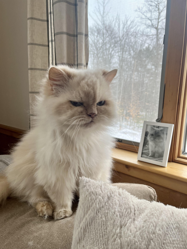 Mittens Monday Face