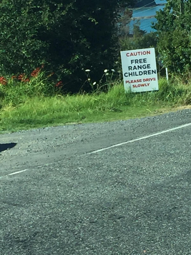 Mmm yes I can get some eggs with my free range children