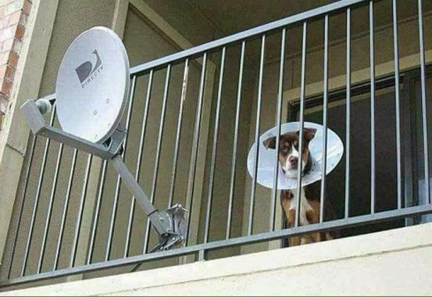 Mobile antena