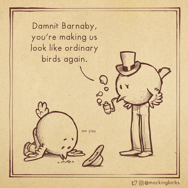 Mockingbirbs birds with pants 