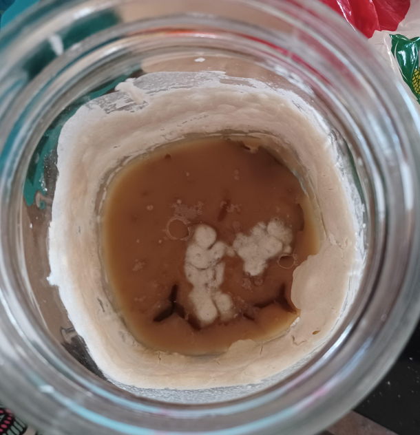 mold man