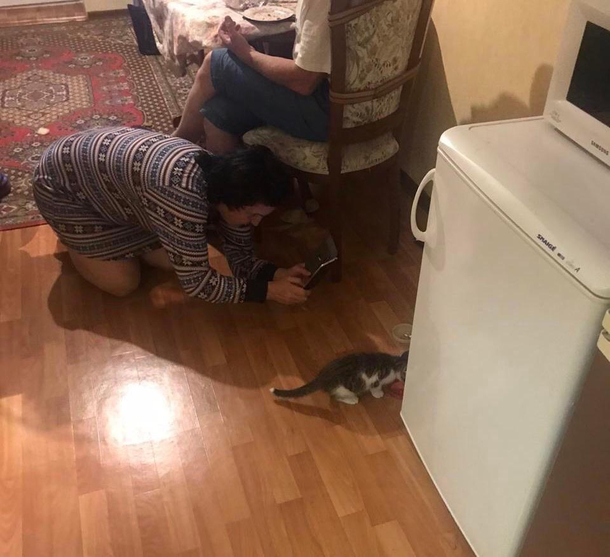 Mom I dont want a cat in my house Also mom