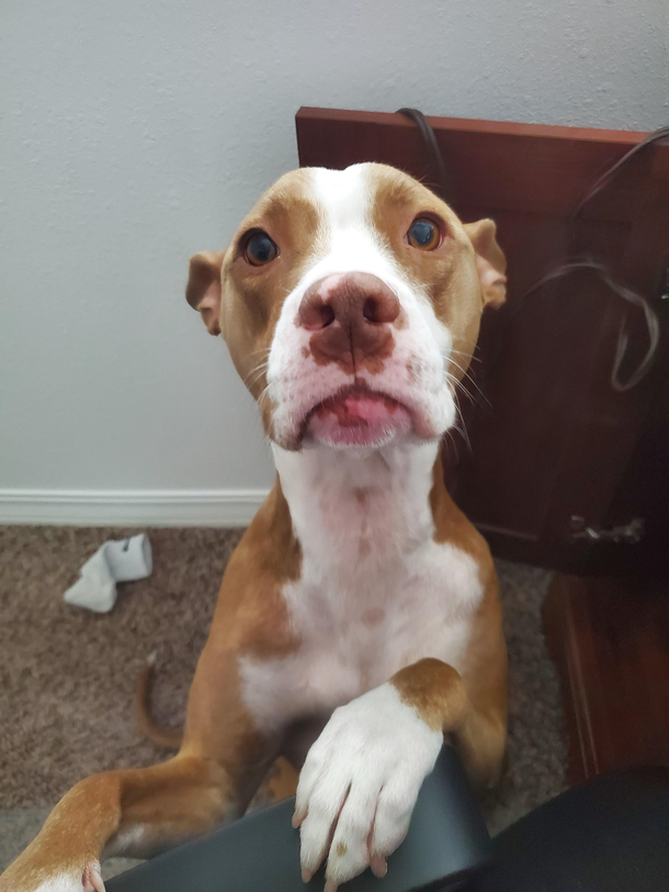 Mom I has to use the bathroom