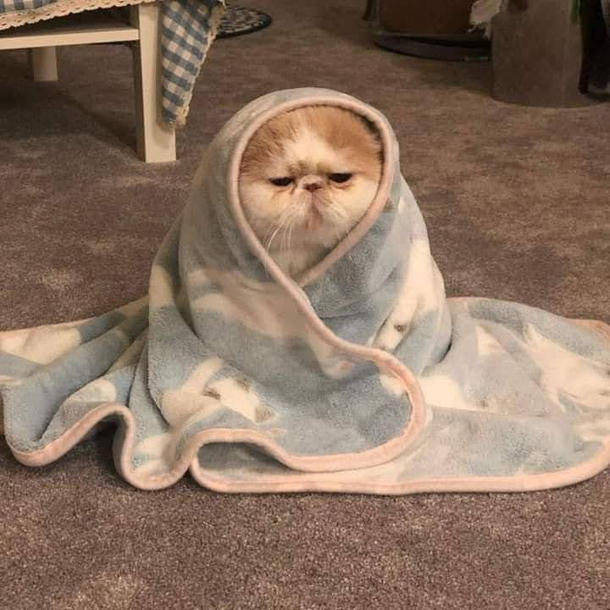 Mom says you should be happy while you are young and you have a lot of energy and use it but what should I do if I wake up already tired