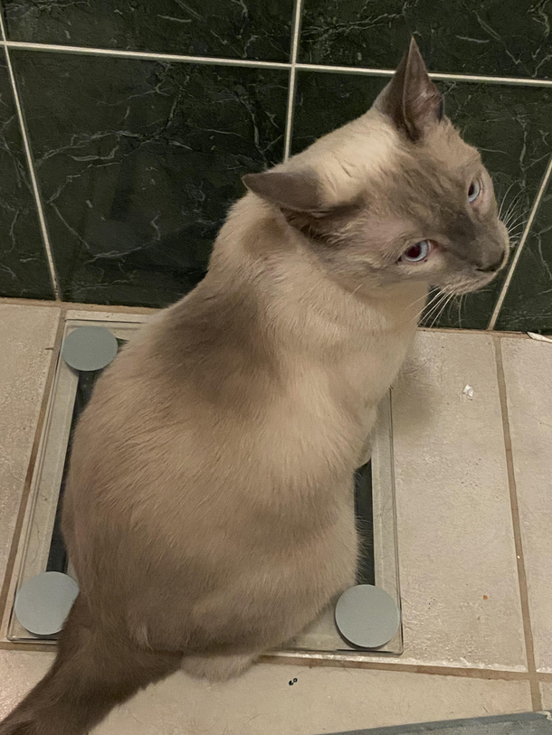 Mom the scale is broken