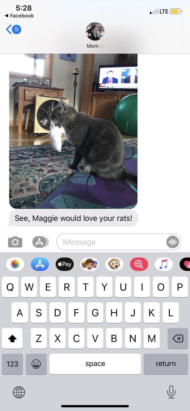 Mom was not supportive of my decision to get pet rats