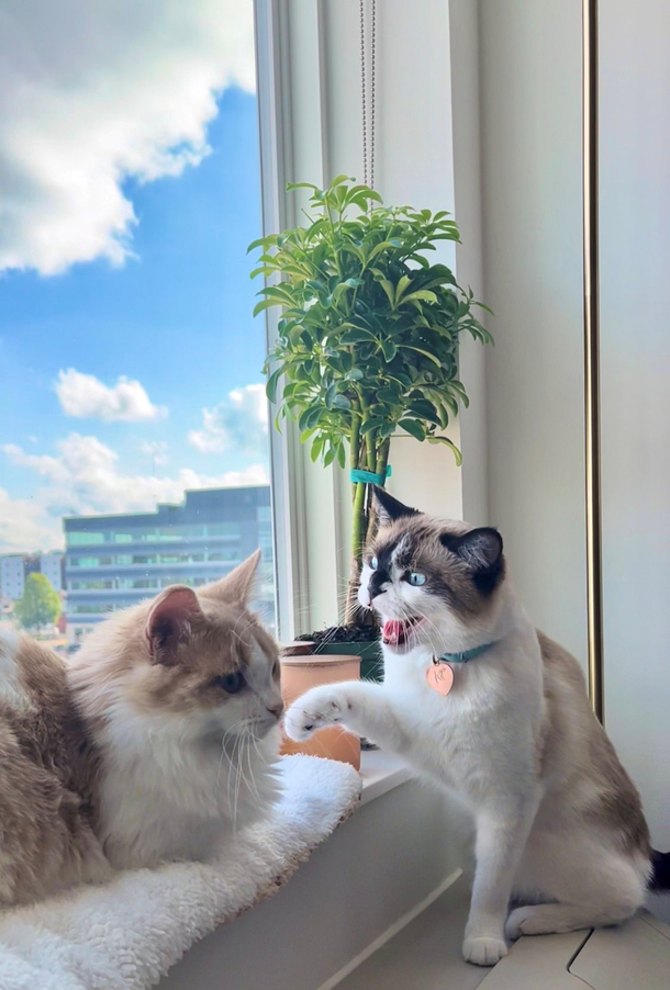 Moments before disaster